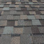 Shingle Roof