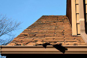 Roofers