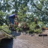 Roof Storm Damage