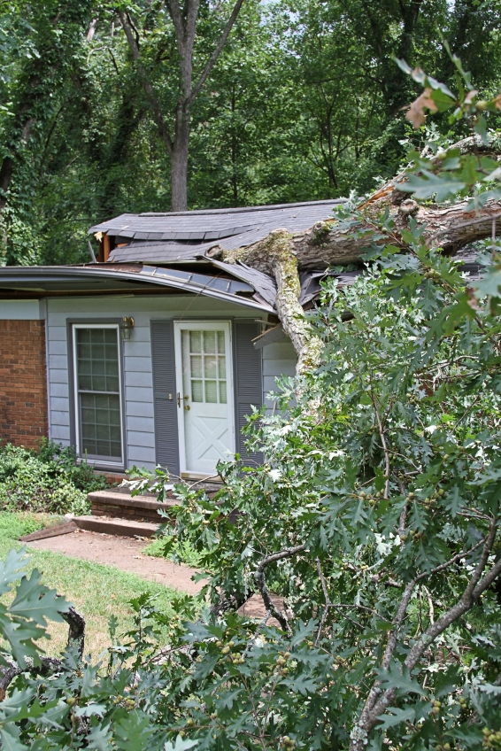 Roof Storm Damage in Haines City, Florida