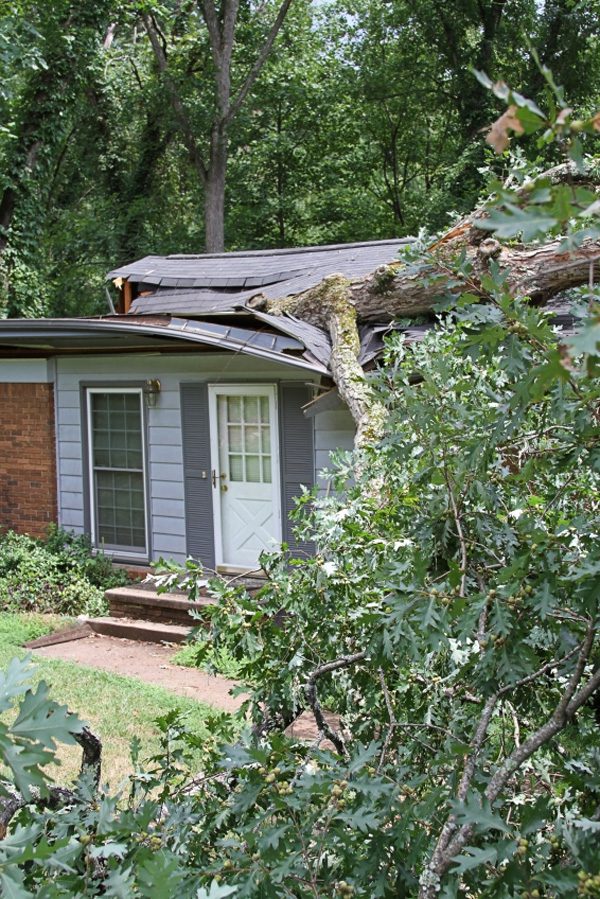Storm Damage Roof Repair in Plant City, Florida