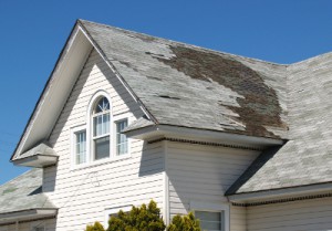 Reasons Why Roof Repair is so Important in Florida’s Tropical Climate