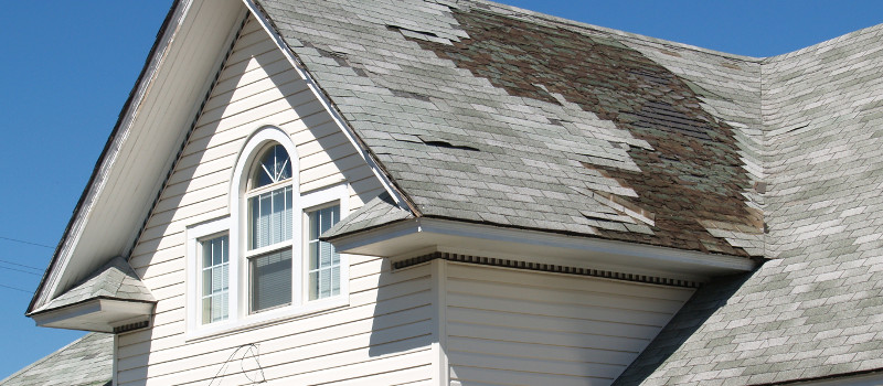 Reasons Why Roof Repair is so Important in Florida’s Tropical Climate
