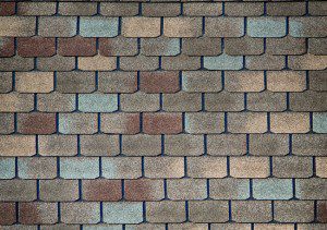Shingle Roof