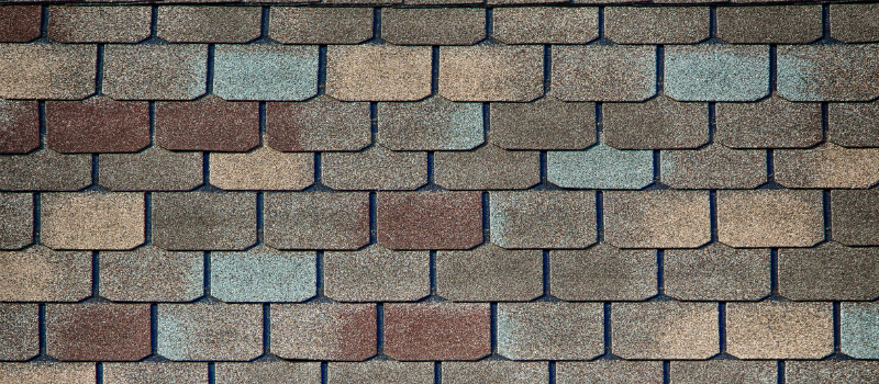 Shingle Roof