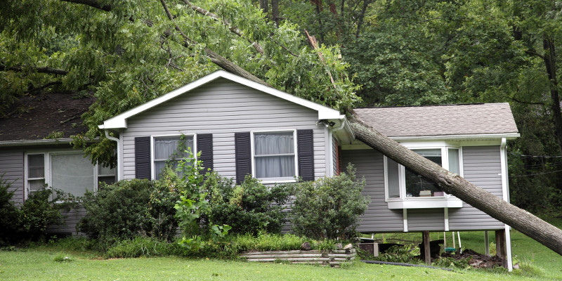 What to Do if You Have Roof Storm Damage