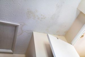 have your roofing checked as soon as possible
