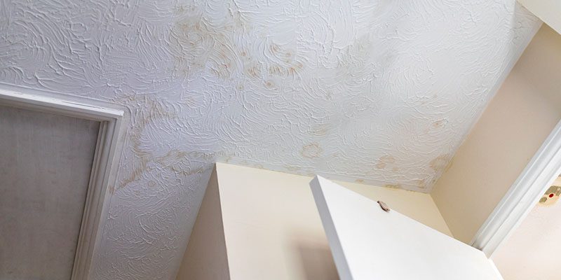 have your roofing checked as soon as possible